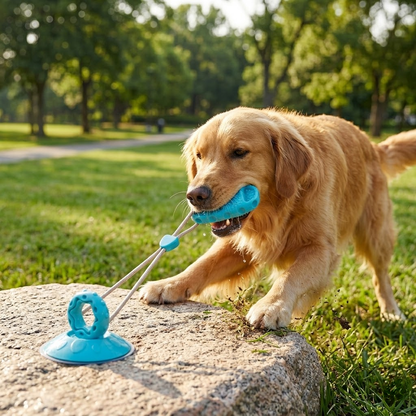 Interactive Suction Cup Dog Toy