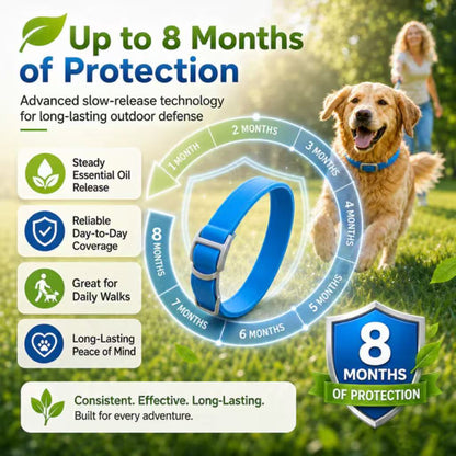 【🎁 BUY 2 GET 1 FREE】8-Month Natural Flea & Tick Collar 🌿 100% Plant-Based