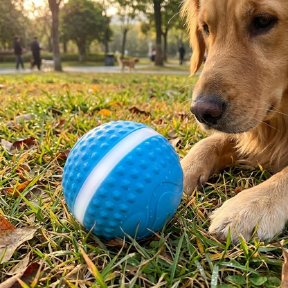 Durable Interactive Dog Toy Ball