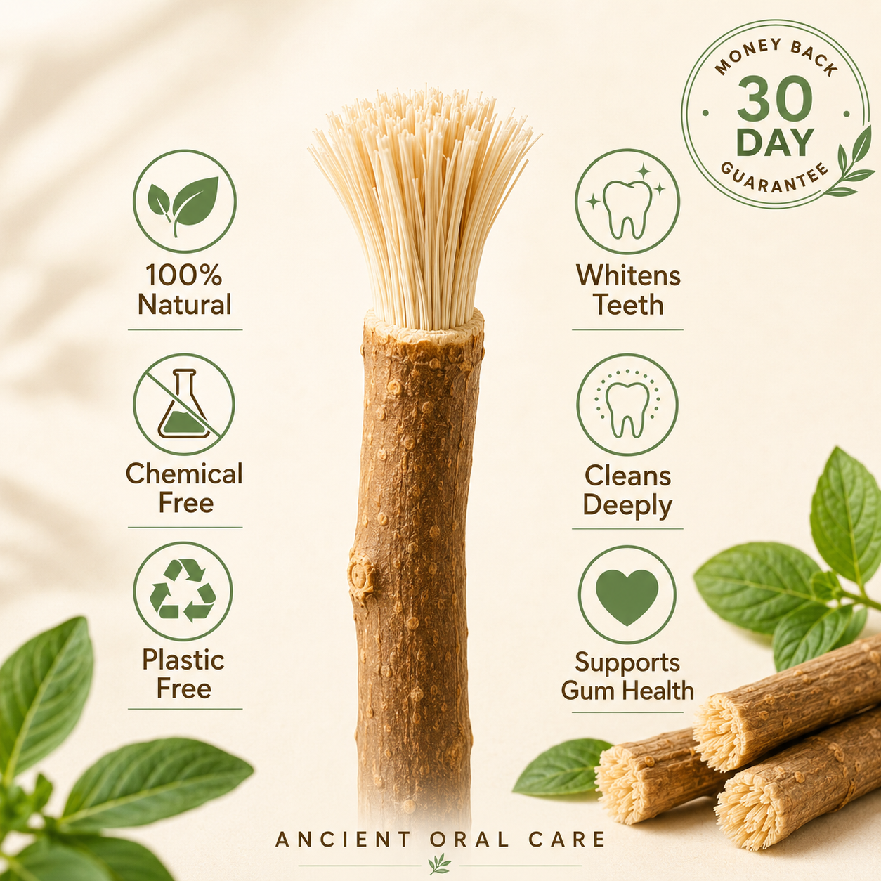 StickBrush Mint — Natural Miswak Toothbrush Stick