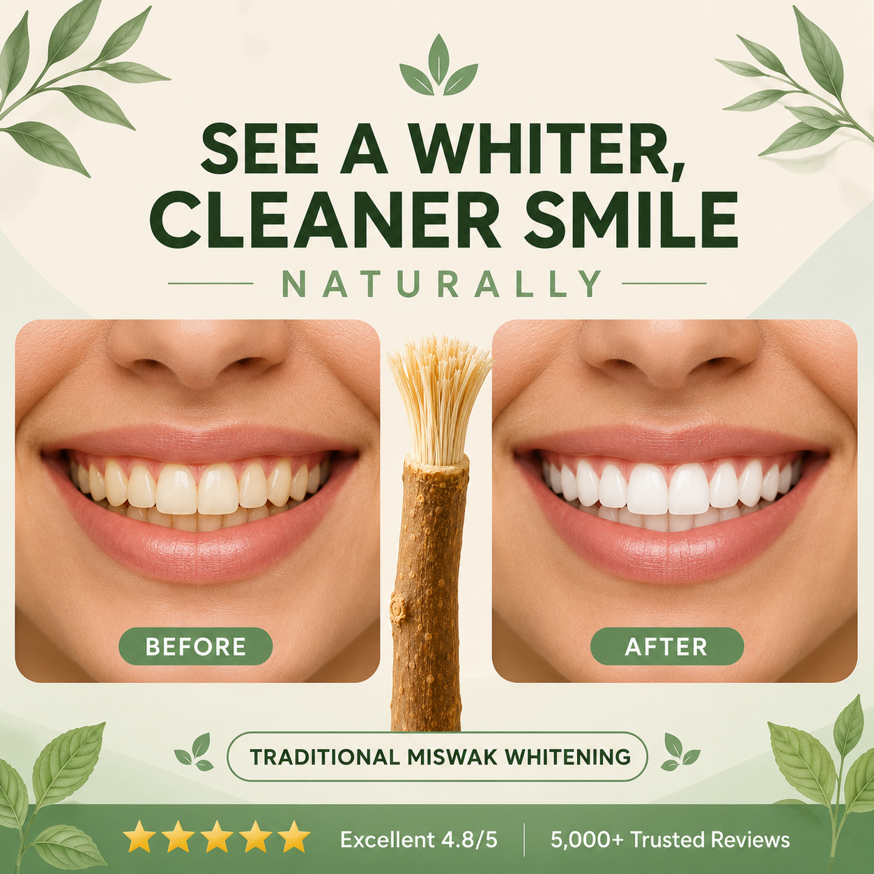 StickBrush Mint — Natural Miswak Toothbrush Stick