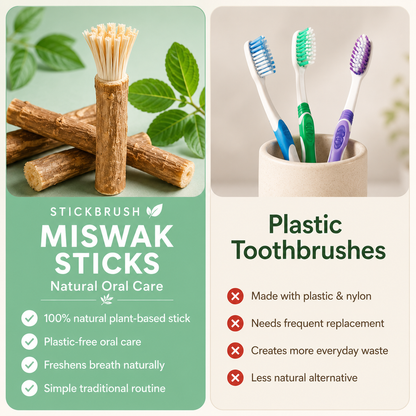 StickBrush Mint — Natural Miswak Toothbrush Stick