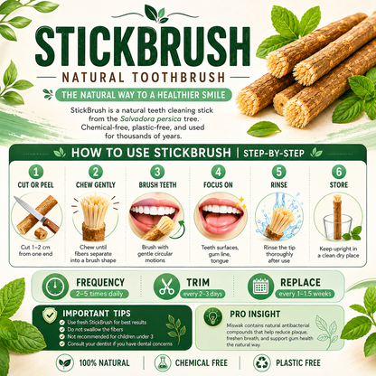 StickBrush Mint — Natural Miswak Toothbrush Stick