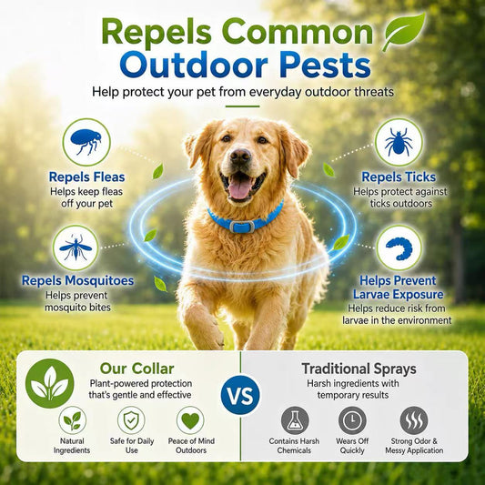 【🎁 BUY 2 GET 1 FREE】8-Month Natural Flea & Tick Collar 🌿 100% Plant-Based